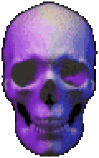 Skully Shore